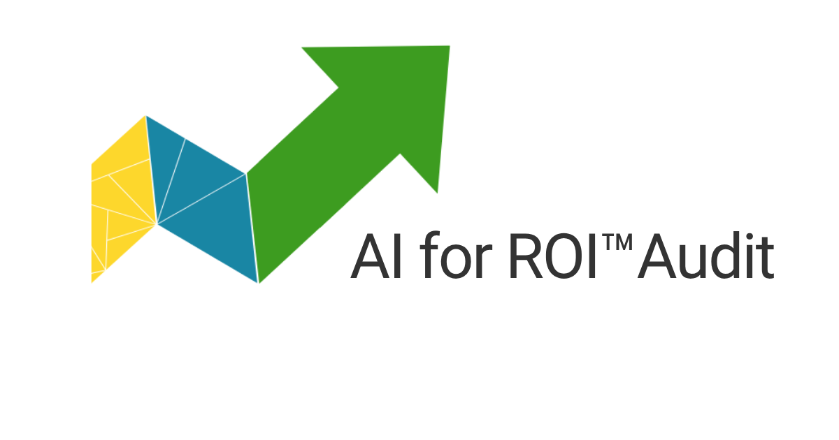 AI for ROI Audit